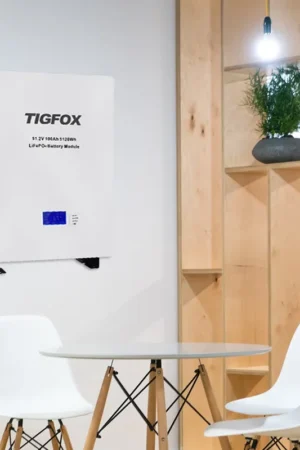 Tigfox 51.2V 100Ah LCD Model Lithium Iron Phosphate Battery